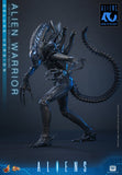 HOT TOYS MOVIE MASTERPIECE SERIES MMS899 ALIENS ALIEN WARRIOR DELUXE VERSION ACTION FIGURE [PRE ORDER]