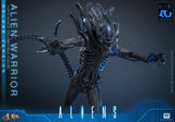 HOT TOYS MOVIE MASTERPIECE SERIES MMS899 ALIENS ALIEN WARRIOR DELUXE VERSION ACTION FIGURE [PRE ORDER]