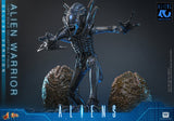 HOT TOYS MOVIE MASTERPIECE SERIES MMS899 ALIENS ALIEN WARRIOR DELUXE VERSION ACTION FIGURE [PRE ORDER]