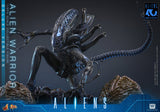 HOT TOYS MOVIE MASTERPIECE SERIES MMS899 ALIENS ALIEN WARRIOR DELUXE VERSION ACTION FIGURE [PRE ORDER]