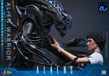 HOT TOYS MOVIE MASTERPIECE SERIES MMS899 ALIENS ALIEN WARRIOR DELUXE VERSION ACTION FIGURE [PRE ORDER]