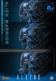 HOT TOYS MOVIE MASTERPIECE SERIES MMS899 ALIENS ALIEN WARRIOR DELUXE VERSION ACTION FIGURE [PRE ORDER]