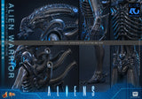 HOT TOYS MOVIE MASTERPIECE SERIES MMS899 ALIENS ALIEN WARRIOR DELUXE VERSION ACTION FIGURE [PRE ORDER]
