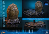 HOT TOYS MOVIE MASTERPIECE SERIES MMS899 ALIENS ALIEN WARRIOR DELUXE VERSION ACTION FIGURE [PRE ORDER]