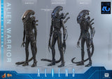 HOT TOYS MOVIE MASTERPIECE SERIES MMS899 ALIENS ALIEN WARRIOR DELUXE VERSION ACTION FIGURE [PRE ORDER]