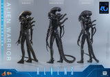 HOT TOYS MOVIE MASTERPIECE SERIES MMS899 ALIENS ALIEN WARRIOR DELUXE VERSION ACTION FIGURE [PRE ORDER]