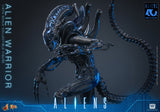 HOT TOYS MOVIE MASTERPIECE SERIES MMS898 ALIENS ALIEN WARRIOR ACTION FIGURE  [PRE ORDER]