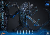 HOT TOYS MOVIE MASTERPIECE SERIES MMS898 ALIENS ALIEN WARRIOR ACTION FIGURE  [PRE ORDER]