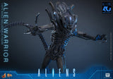 HOT TOYS MOVIE MASTERPIECE SERIES MMS898 ALIENS ALIEN WARRIOR ACTION FIGURE  [PRE ORDER]
