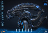HOT TOYS MOVIE MASTERPIECE SERIES MMS898 ALIENS ALIEN WARRIOR ACTION FIGURE  [PRE ORDER]