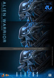HOT TOYS MOVIE MASTERPIECE SERIES MMS898 ALIENS ALIEN WARRIOR ACTION FIGURE  [PRE ORDER]