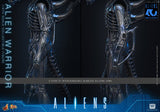 HOT TOYS MOVIE MASTERPIECE SERIES MMS898 ALIENS ALIEN WARRIOR ACTION FIGURE  [PRE ORDER]