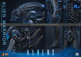 HOT TOYS MOVIE MASTERPIECE SERIES MMS898 ALIENS ALIEN WARRIOR ACTION FIGURE  [PRE ORDER]