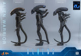 HOT TOYS MOVIE MASTERPIECE SERIES MMS898 ALIENS ALIEN WARRIOR ACTION FIGURE  [PRE ORDER]