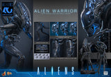 HOT TOYS MOVIE MASTERPIECE SERIES MMS898 ALIENS ALIEN WARRIOR ACTION FIGURE  [PRE ORDER]