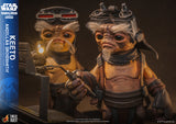 HOT TOYS LIFE SIZE MASTERPIECE SERIES LMS018 THE MANDALORIAN AND GROGU KEETO ANZELLAN DROIDSMITH ACTION FIGURE [PRE ORDER]