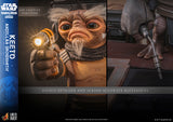 HOT TOYS LIFE SIZE MASTERPIECE SERIES LMS018 THE MANDALORIAN AND GROGU KEETO ANZELLAN DROIDSMITH ACTION FIGURE [PRE ORDER]