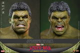 HOT TOYS MARVEL CHARACTERS MOVIE MASTERPIECE SERIES MMS905 SPIDERMAN BRAND NEW DAY HULK ACTION FIGURE [PRE ORDER]