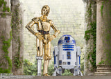 BANDAI STAR WARS S.H.FIGUARTS R2D2 CLASSIC VERSION STAR WARS A NEW HOPE ACTION FIGURE [PRE ORDER]