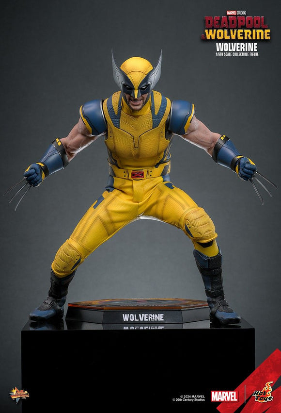 HOT TOYS MARVEL MOVIE MASTERPIECE SERIES MMS753 DEADPOOL & WOLVERINE - WOLVERINE 1/6TH SCALE COLLECTIBLE FIGURE [PRE ORDER]